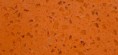 Fresh Orange
